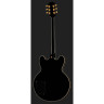 Электрогитара Epiphone B.B. King Lucille