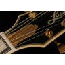 Электрогитара Epiphone B.B. King Lucille
