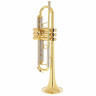 Труба Adams Prologue L Bb- Trumpet Adams Prologue L Bb- Trumpet