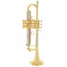 Труба Adams Prologue L Bb- Trumpet Adams Prologue L Bb- Trumpet