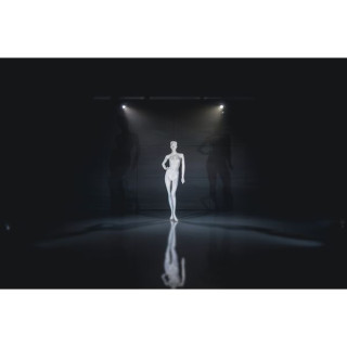 Светодиодный кинотеатр Varytec Spot 120 FC Varytec LED Theater Spot 120 FC