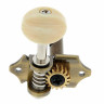 Гитарные головки Ortega OTMVG-BS Ortega OTMVG-BS Guitar Machine Heads