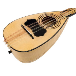 Марио Вораро Мандолина Наполетано 1752 Mario Vorraro Mandolino Napoletano 1752