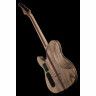 Электрогитара Schecter PT SLS Evil Twin