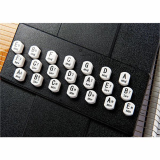 Автоарфа Oscar Schmidt OS150FCE