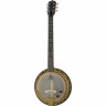 Банджо Deering Phoenix A/E 6-string Banjo