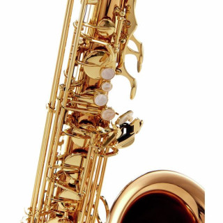 Тенор-саксофон Yanagisawa T-WO20 Elite Tenor Sax
