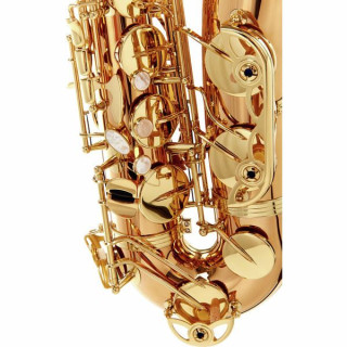 Тенор-саксофон Yanagisawa T-WO20 Elite Tenor Sax