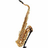 Тенор-саксофон Yanagisawa T-WO20 Elite Tenor Sax