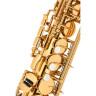 Цифровой саксофон Emeo Classic Gold Emeo Digital Saxophone Classic Gold