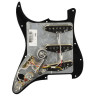Крыло с предварительной проводкой ST PG Tex-Mex SSS BK Fender Pre-Wired ST PG Tex-Mex SSS BK