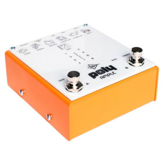 Поли-эффекты, большой усилитель и симулятор кабины Poly Effects Ample Amp & Cab Sim