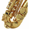 Альт-саксофон Jupiter JAS700Q Alto Sax Bundle №422772 (Комплект)