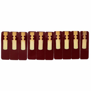 Александр Ридс, Нью-Йорк, сопрано 2.0 Alexander Reeds NY Soprano 2.0