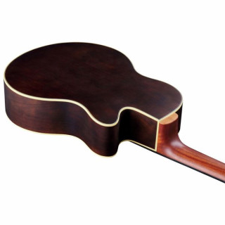 Акустическая бас-гитара Warwick Alien Deluxe 6 NT FL LH