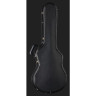 PRS McCarty 594 Hollowbody II куб.см PRS McCarty 594 Hollowbody II CC