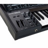 Артурия МатрикСбрут Нуар Arturia MatrixBrute Noir