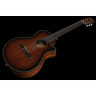Ibanez AEG74N-MHS Ibanez AEG74N-MHS