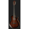 Ibanez AEG74N-MHS Ibanez AEG74N-MHS