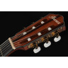 Ibanez AEG74N-MHS Ibanez AEG74N-MHS