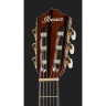Ibanez AEG74N-MHS Ibanez AEG74N-MHS