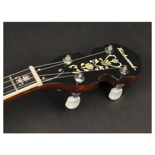 Банджо Richwood RMB-904-SS Tenor Banjo