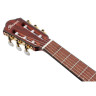 Классическая гитара Ibanez FRH10N-IBF