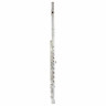 Флейта Azumi AZ-Z2 RI Azumi AZ-Z2 RI Flute