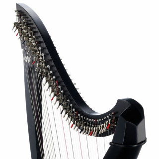 Арфа Salvi SALTIT-ESS Titan Ebony Salvi SALTIT-ESS Titan Ebony