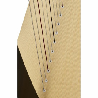 Арфа Salvi SALTIT-ESS Titan Ebony Salvi SALTIT-ESS Titan Ebony