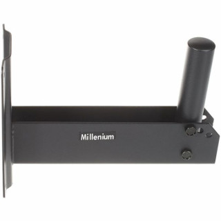 Настенный мультиаккумулятор Millenium MSW2 Millenium Multi Speaker Wallmount MSW2