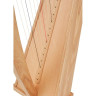 Tavmusic.ru Современная левая арфа 19 струн Thomann Modern Lever Harp 19 Strings