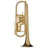 Труба Gerd Dowids BZ-Series GL72 GP Bb-Trumpet Gerd Dowids BZ-Series GL72 GP Bb-Trumpet