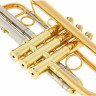 Труба Schagerl Caracas L C-Trumpet L Schagerl Caracas L C-Trumpet L