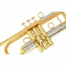 Труба Schagerl Caracas L C-Trumpet L Schagerl Caracas L C-Trumpet L