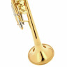 Труба Schagerl Caracas L C-Trumpet L Schagerl Caracas L C-Trumpet L
