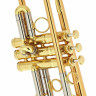 Труба Schagerl Caracas L C-Trumpet L Schagerl Caracas L C-Trumpet L