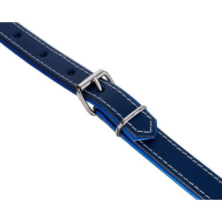 Tavmusic.ru 70 Про Аккордеонный Ремень Flower Blue Thomann 70 Pro Acc. Strap Flower Blue