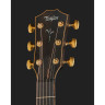 Электроакустическая гитара Taylor K14ce Builders Edition Taylor K14ce Builders Edition