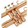Латунь Adams A9 050 Selected L CL Adams A9 Brass 050 Selected L CL