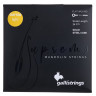 Струны для мандолины Galli Strings SMF500 L Mandolin Str. Light Galli Strings SMF500 L Mandolin Str. Light