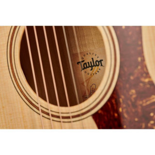 Тейлор GT Urban Ash/Spruce Taylor GT Urban Ash/Spruce