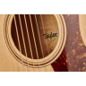 Тейлор GT Urban Ash/Spruce Taylor GT Urban Ash/Spruce