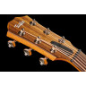 Тейлор GT Urban Ash/Spruce Taylor GT Urban Ash/Spruce