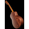 Тейлор GT Urban Ash/Spruce Taylor GT Urban Ash/Spruce