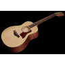 Тейлор GT Urban Ash/Spruce Taylor GT Urban Ash/Spruce
