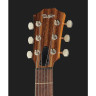 Тейлор GT Urban Ash/Spruce Taylor GT Urban Ash/Spruce