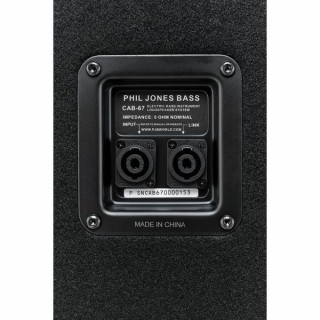 Басовый кабинет Фила Джонса кабина 67 Phil Jones Bass Cabinet CAB 67