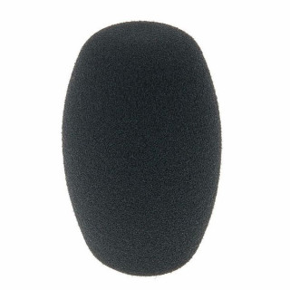 Sennheiser MZW1 Sennheiser MZW1