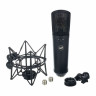 Конденсаторный микрофон Warm Audio WA-87 R2B Warm Audio WA-87 R2B
